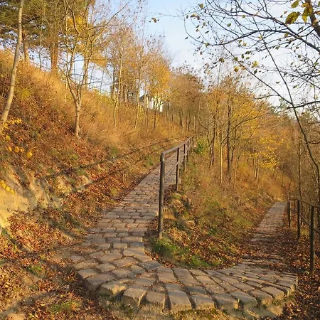 Szonyi Uti Vendeghaz