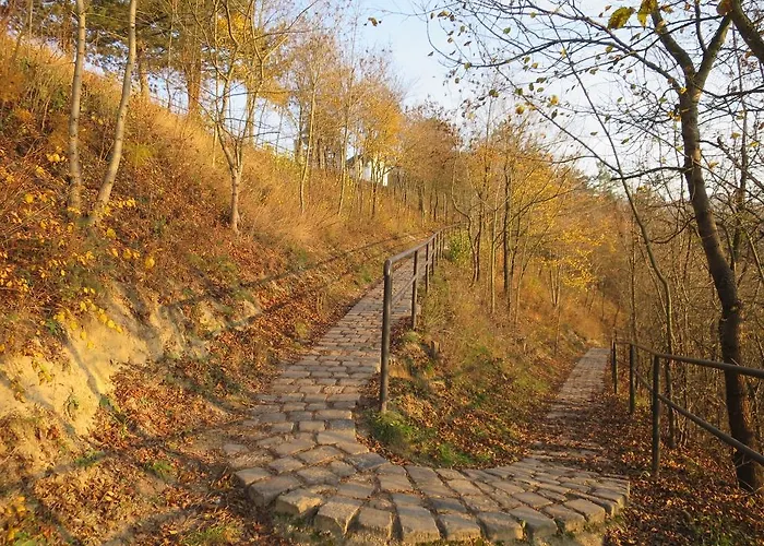 Szonyi Uti Vendeghaz